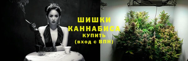 винт Инта