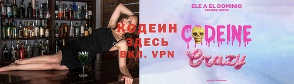 винт Инта