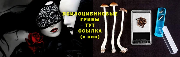 прущие крисы Инсар