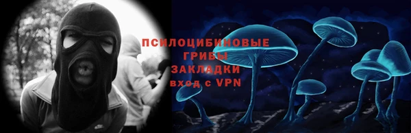 винт Инта