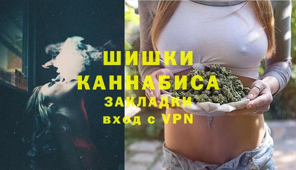 винт Инта