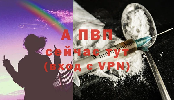 прущие крисы Инсар