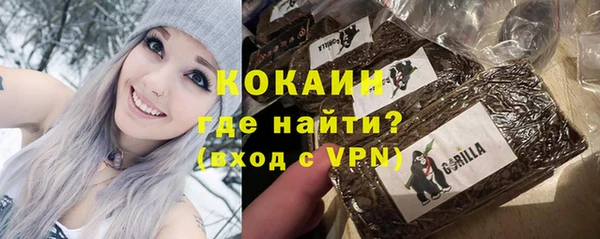 винт Инта