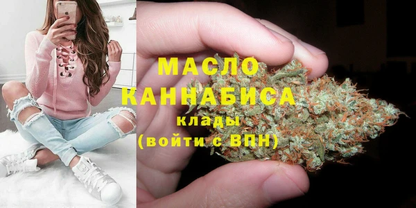 винт Инта