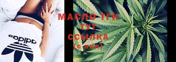 винт Инта